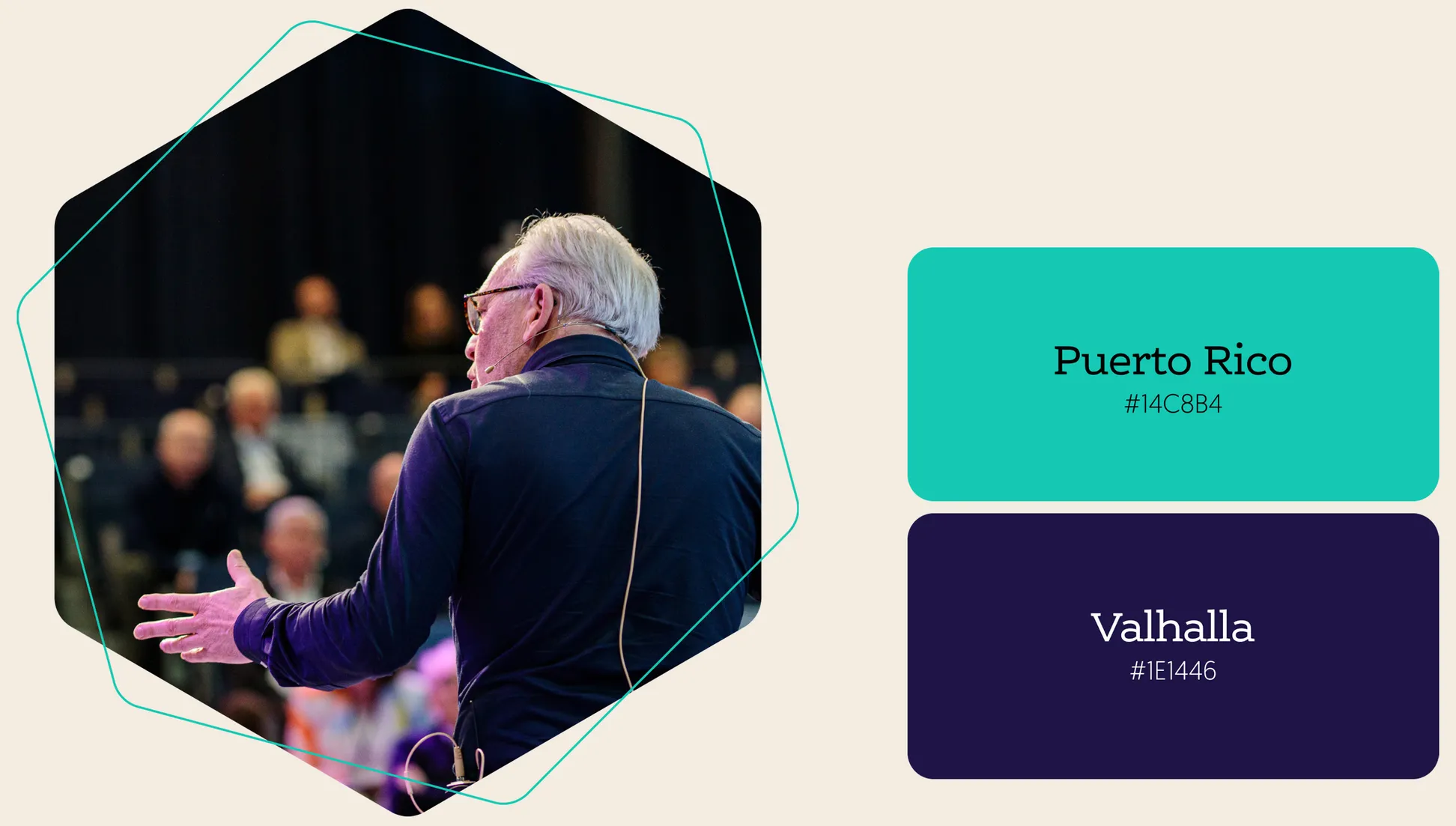 IVVD huisstijl kleuren