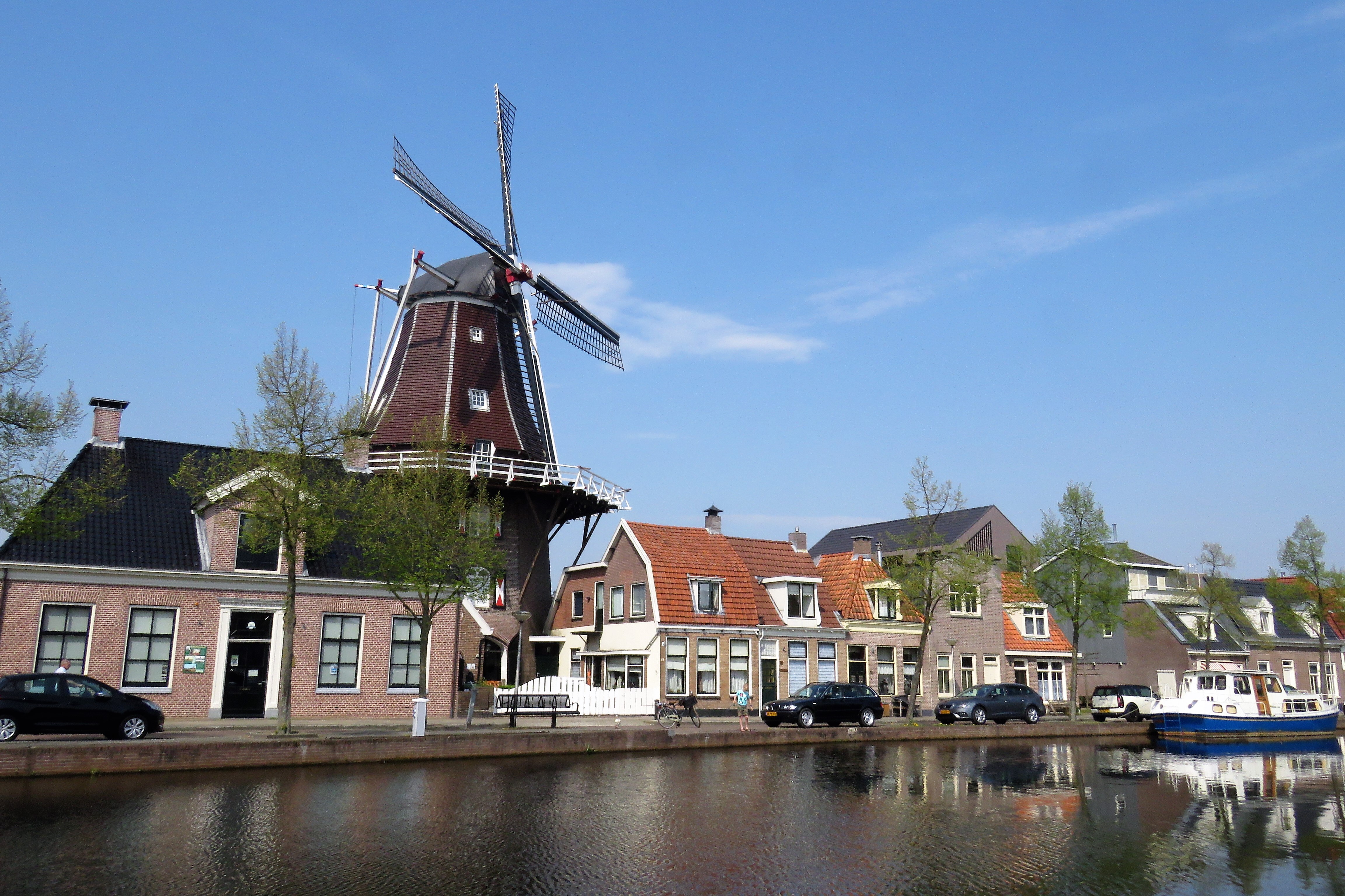 41629523151 456d196c1e o